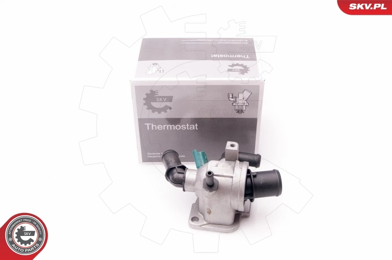 Thermostat, coolant